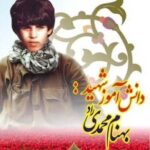 شهید بهنام محمدی راد