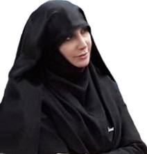 نیکی درزیان 14