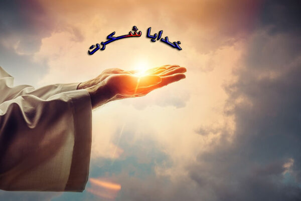 شکرگزاری