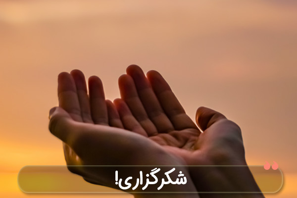 شکرگزاری
